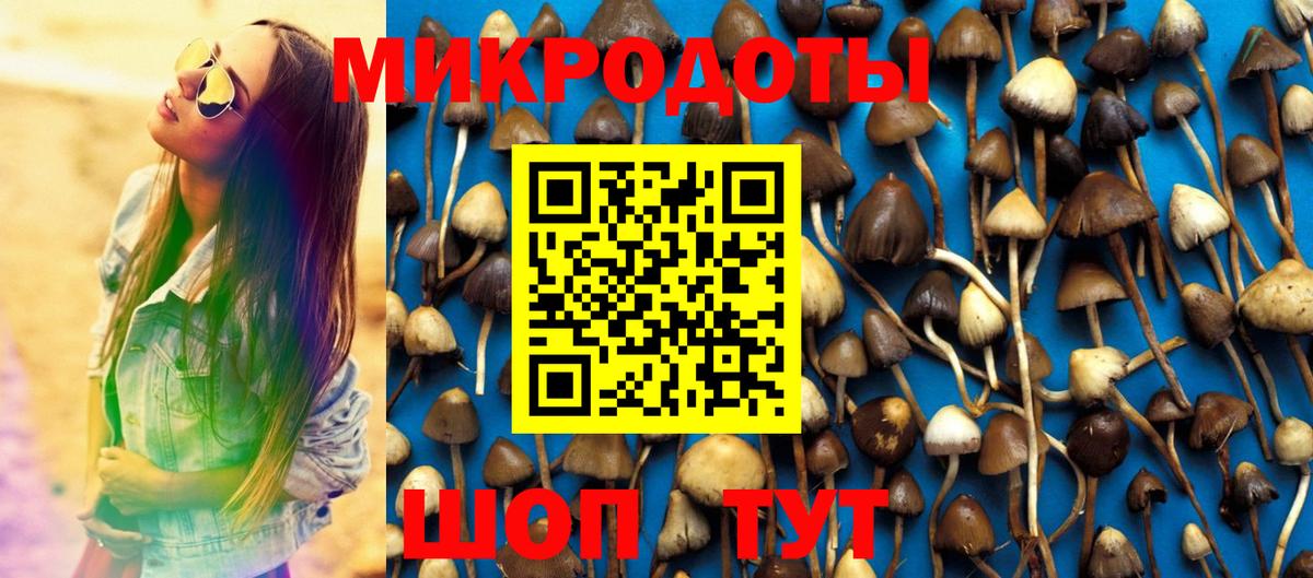 Галлюциногенные грибы Cubensis  где найти   Будённовск  Вход с VPN 